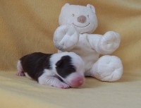 /album/fotogalerie-fena-6/p7121438-jpg/