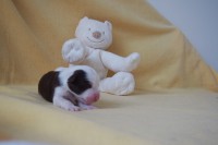 /album/fotogalerie-fena-6/p7121444-jpg/