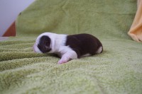 /album/fotogalerie-fena-6/p7121470-jpg/