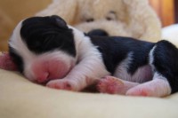 /album/fotogalerie-fena-41/a4-jpg/