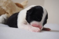 /album/fotogalerie-fena-41/p7121284-jpg/